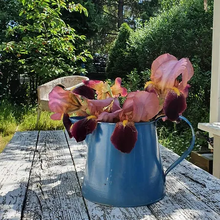 Apartment Nowiny Danzig