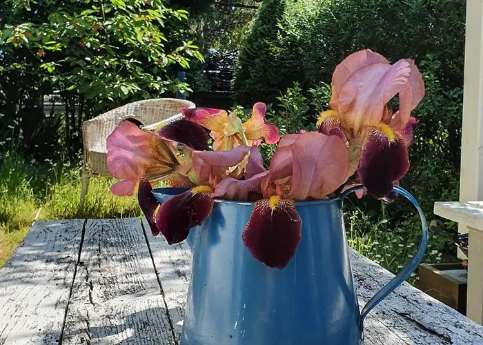 アパート Nowiny グダニスク